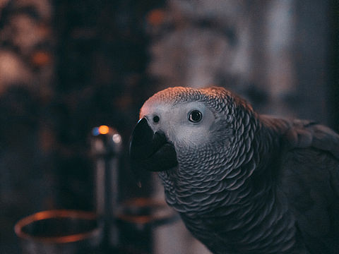 扫街