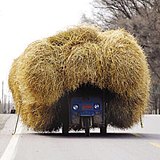 邋遢大叔的头像