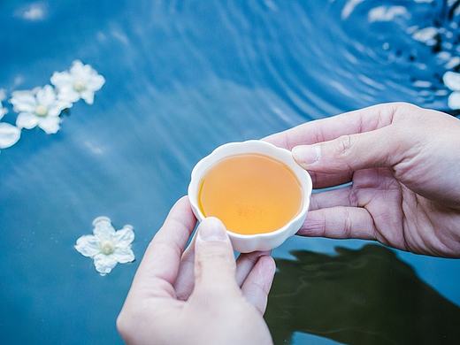 山林食纪 │ 二十四节气
