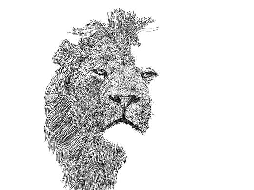 坏男孩联盟老四秃尾巴