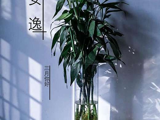安逸