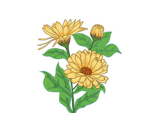 插画（个人主页-ZMzM5NDcyMTI=） - 创作习作 - 站酷设计师617七七原创素材 - 站酷ZCOOL