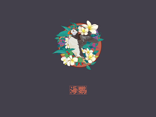 海鹦 临摹