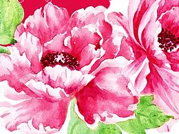 水彩牡丹花