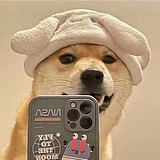 Gucci狗狗的头像