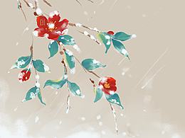 紅山茶  插畫練習(xí)