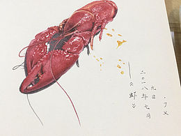 圆珠笔虾