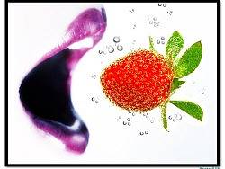 商業(yè)攝影 之 草莓的幻想（個(gè)人主頁(yè)-ZNDE2MDc2） - 產(chǎn)品攝影 - 站酷設(shè)計(jì)師吳聲炎商業(yè)攝影原創(chuàng)素材 - 站酷ZCOOL