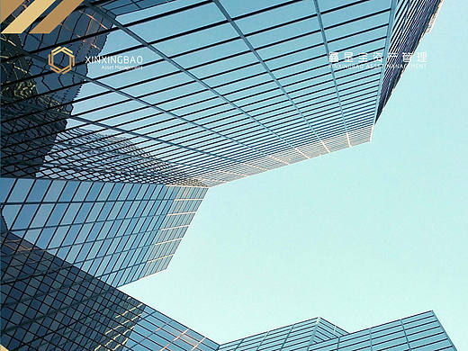 鑫星寶（個(gè)人主頁-ZMjAyNDg2OTI=） - 品牌 - 站酷設(shè)計(jì)師AshlarUnit原創(chuàng)素材 - 站酷ZCOOL