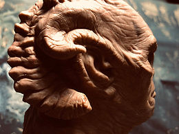 再一次做惡魔??