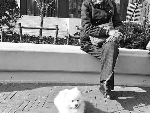 匆匆武汉，慢漫行。（个人主页-ZMjAwMDcxMTY=） - 风光摄影 - 站酷设计师夏日四碗汤原创素材 - 站酷ZCOOL