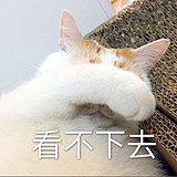 lorax6的头像