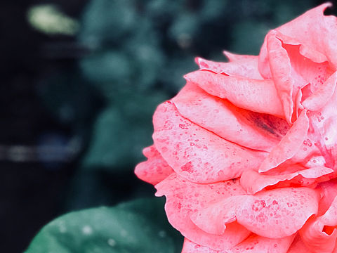 如何快速找到心仪对象技巧分享