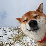 Daydreamer_的头像