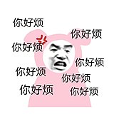 viercanacsa的头像