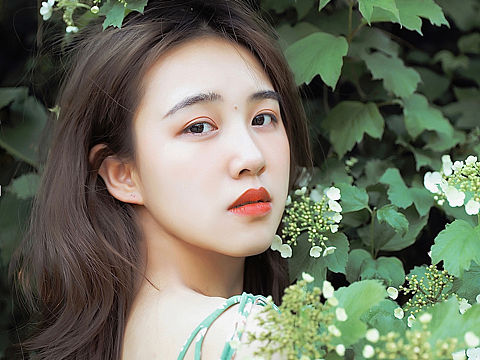 🍃绿色就是夏天最好的文案🍃🍃