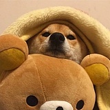 Antoyom的头像