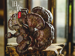 摄影