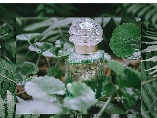 尼罗河（个人主页-ZMjgzMTM2OTI=） - 产品摄影 - 站酷设计师爱拍照的熊原创素材 - 站酷ZCOOL