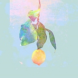 Zard_L的头像