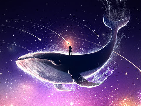 鲸