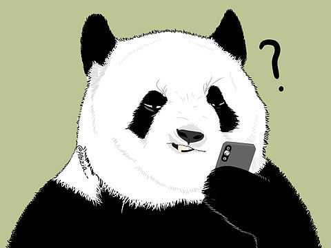 一组大熊猫插画