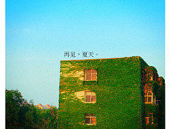 再见,夏天