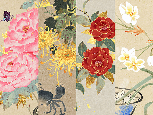 【四大名花】| 国风花卉插画