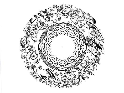 菊花茶 插画在包装上的应用