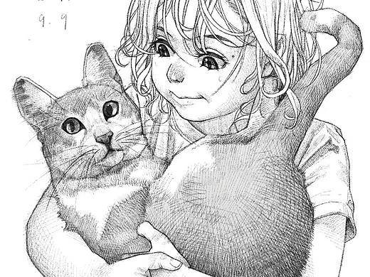猫咪