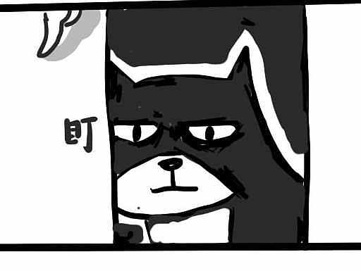 和一只猫的故事