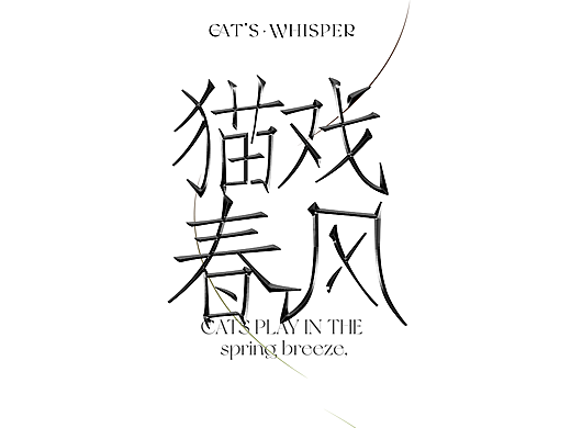 猫戏春风 睫然不同