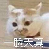 电点的头像