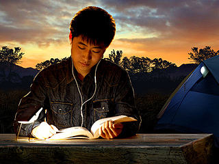 把阳光留给黑夜