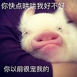 奥胡斯的头像