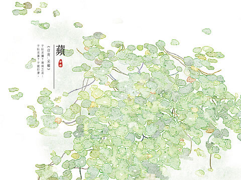 【诗经植物】系列