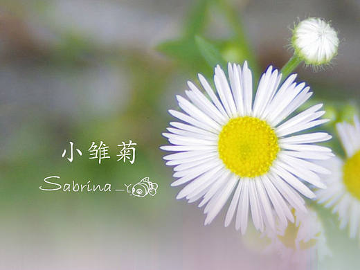 手机图标