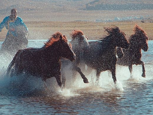 乌兰布统草原之行