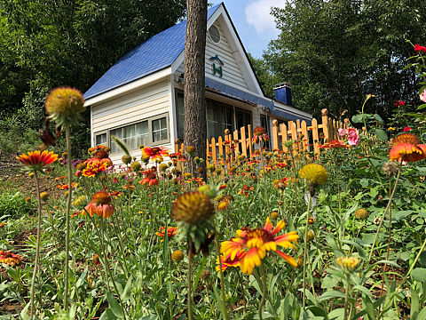 兒童圖書(shū)（個(gè)人主頁(yè)-ZNTMyNjQzNTY=） - 其他手工藝 - 站酷設(shè)計(jì)師Z181741647原創(chuàng)素材 - 站酷ZCOOL