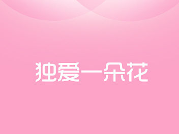 独爱一朵花