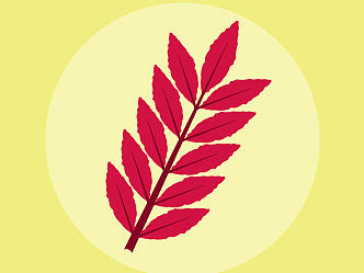 临摹－扁平化图标