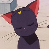 俩皮球的头像