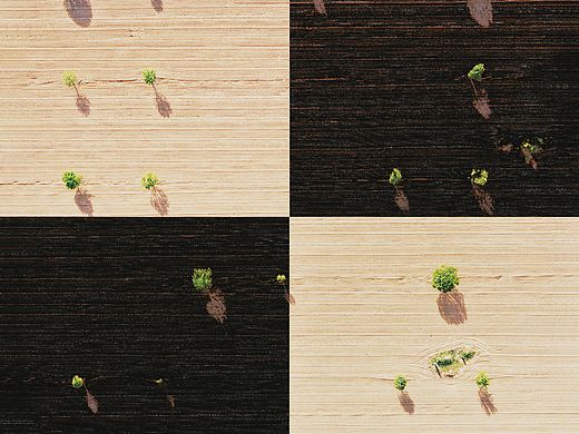 创意航拍作品集   棋盘 地狱花园
