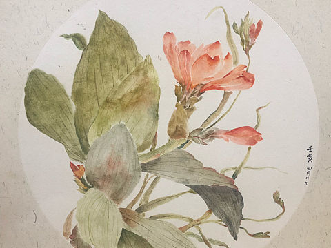 手绘-工笔国画
