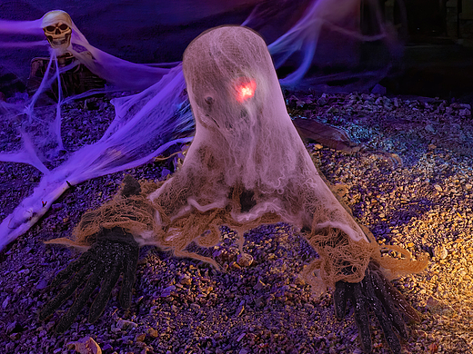 萬圣節(jié)產(chǎn)品（個人主頁-ZNTU1NDkzMjg=） - 電商 - 站酷設(shè)計師亞馬遜設(shè)計師大米原創(chuàng)素材 - 站酷ZCOOL