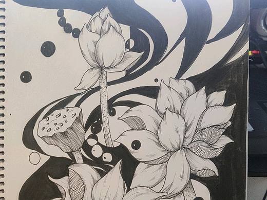 荷花针管笔手绘（个人主页-ZNTY2MjUzMDA=） - 艺术插画 - 站酷设计师淑离儿原创素材 - 站酷ZCOOL