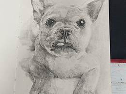 只有摸魚(yú)才能讓我快樂(lè)