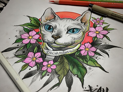 司芬克斯修改记