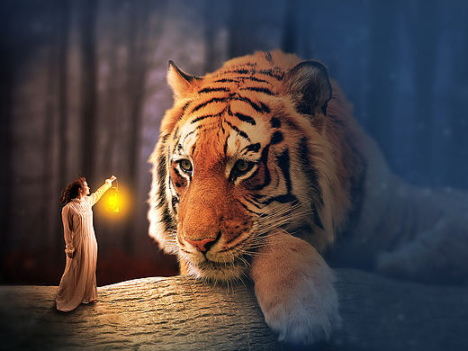 奇幻丛林合成（个人主页-ZMTg3NTIzNzY=） - 海报 - 站酷设计师玻璃渣子i原创素材 - 站酷ZCOOL