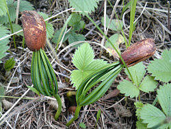 随拍（个人主页-ZMjU3NDEyMA==） - 其他摄影 - 站酷设计师zxrhandsome原创素材 - 站酷ZCOOL